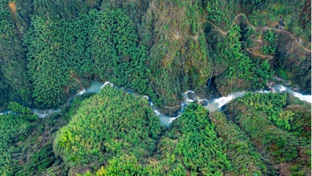 怀化雪峰山丨阳春三月花开好，自驾旅游正当时！