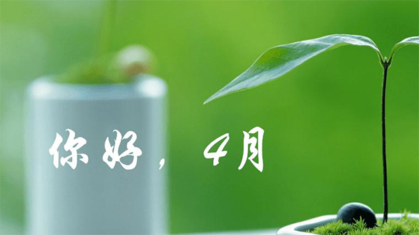 龙池牡丹：花开谷雨，牡丹倾城，惊艳天下！